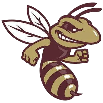 Licking Heights Hornets Football
