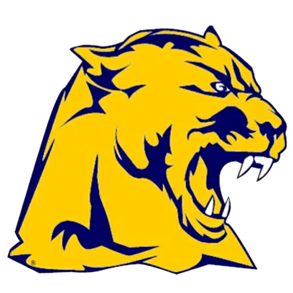 Whitmer Panthers Football
